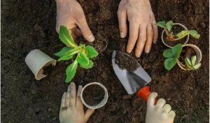 pupuk-kaltim-luncurkan-program-community-forest-upaya-pengurangan-emisi-karbon-dan-pemberdayaan-masyarakat