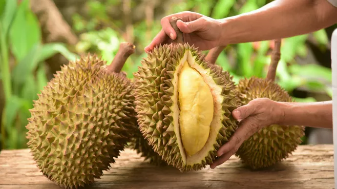 Khasiat Durian untuk Kulit Sehat dan Cerah Alami